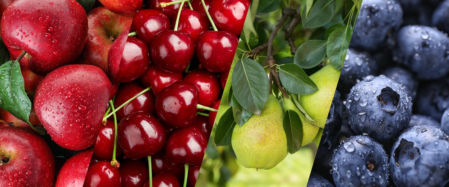 Farm Fresh Apples, Cherries + More